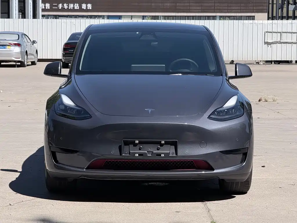 Tesla Model Y — миниатюра 2