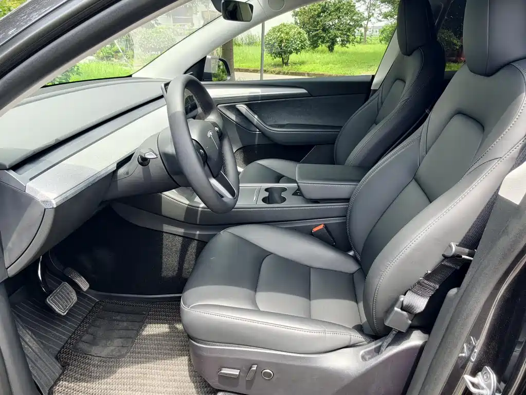 Tesla Model Y — миниатюра 5