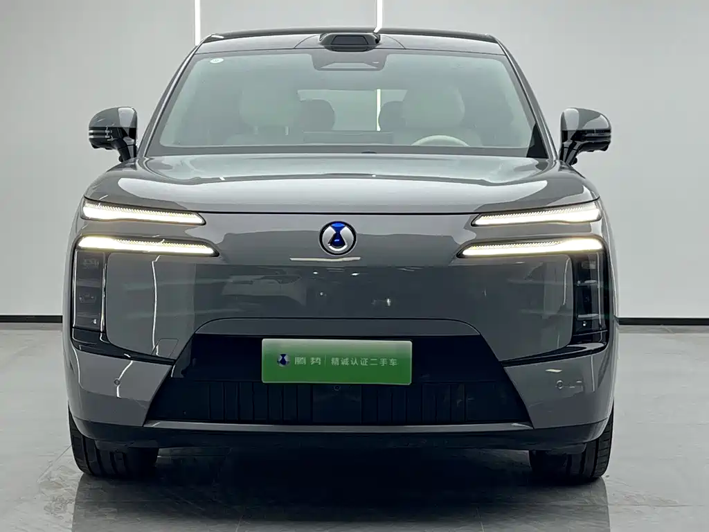 Denza Denza N8L — миниатюра 2