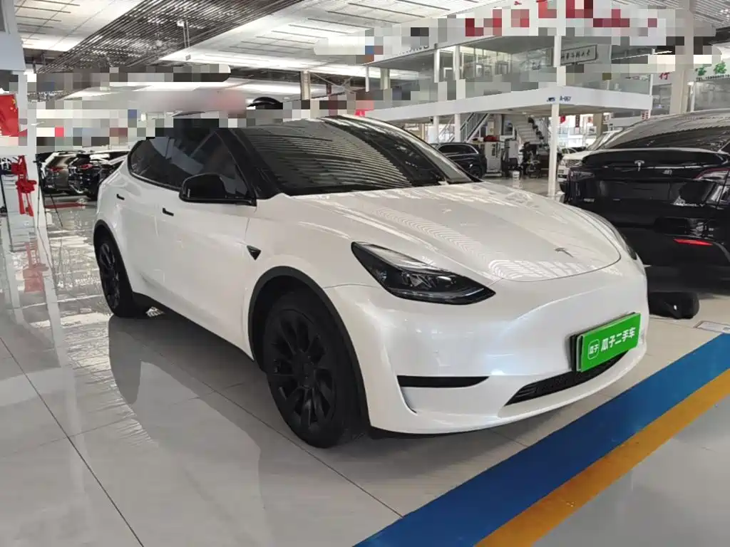 Tesla Model Y — миниатюра 4