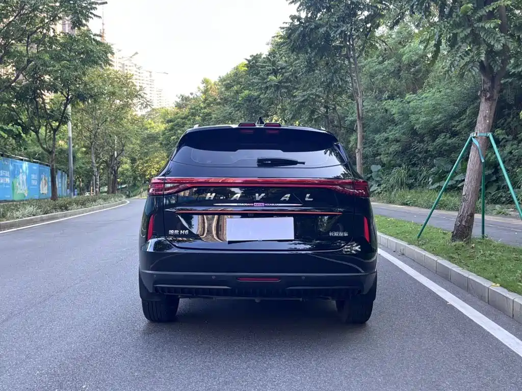 Haval H6 — миниатюра 17