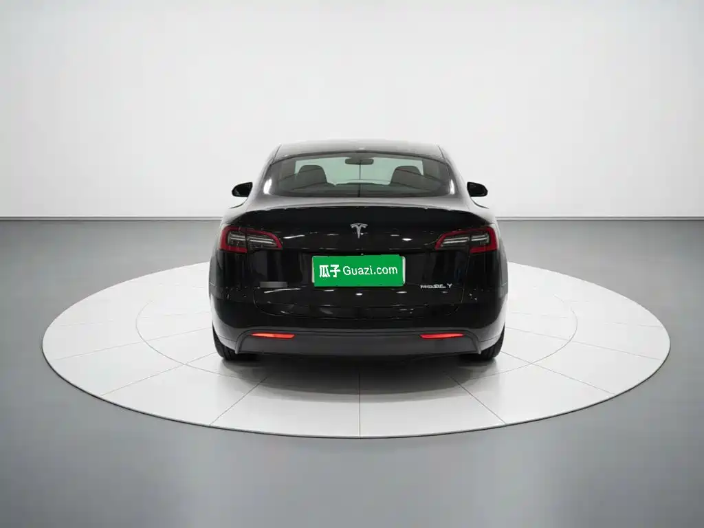 Tesla Model Y — миниатюра 5