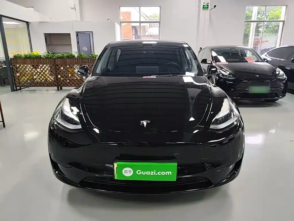 Tesla Model Y — миниатюра 3