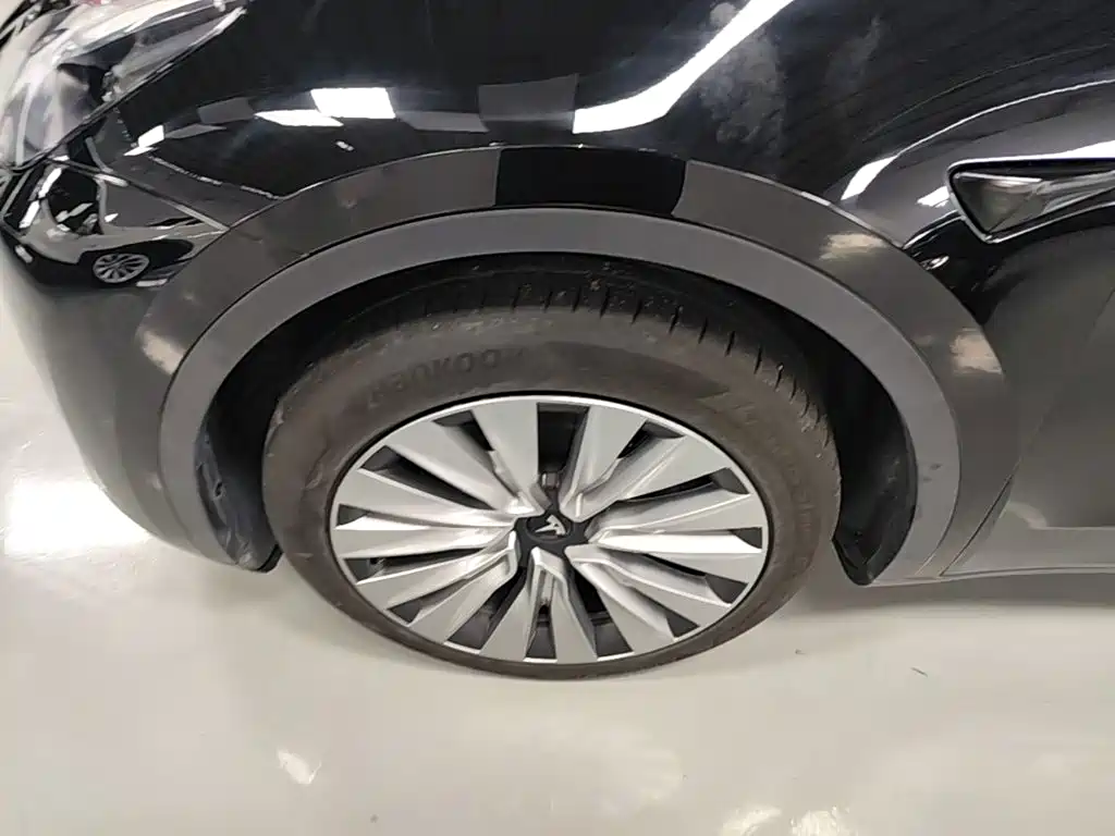 Tesla Model Y — миниатюра 23