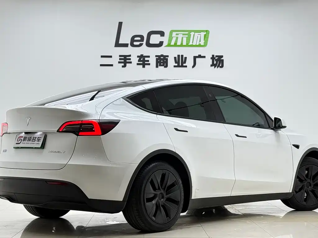 Tesla Model Y — миниатюра 13
