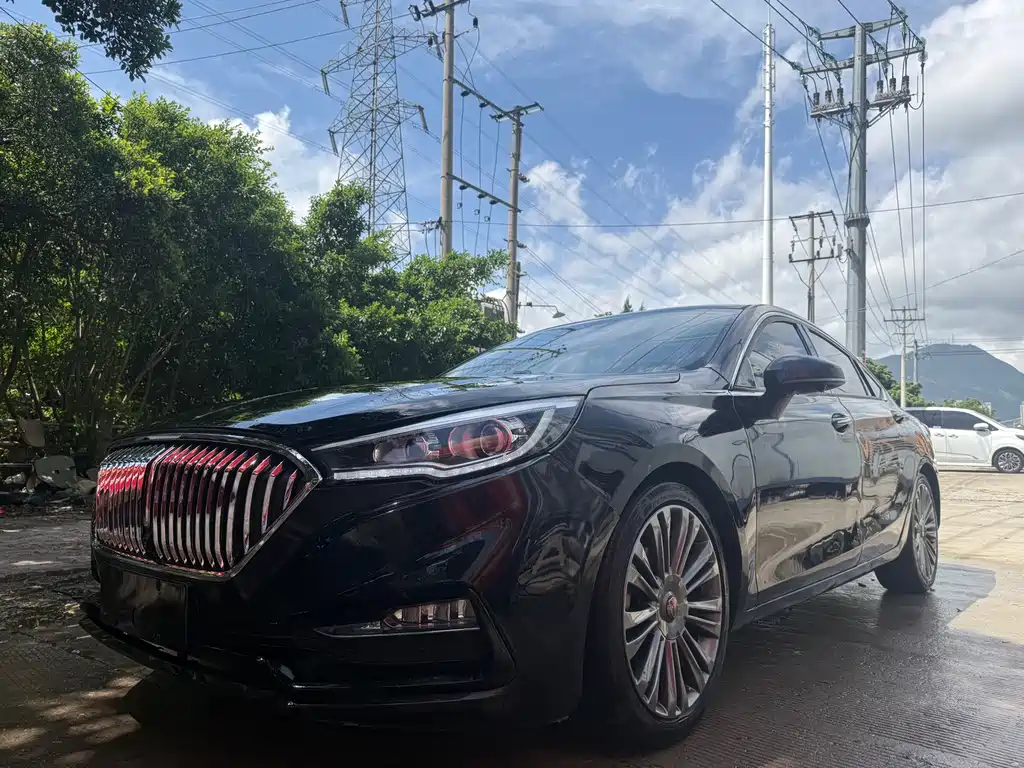Hongqi Hongqi H5 2021