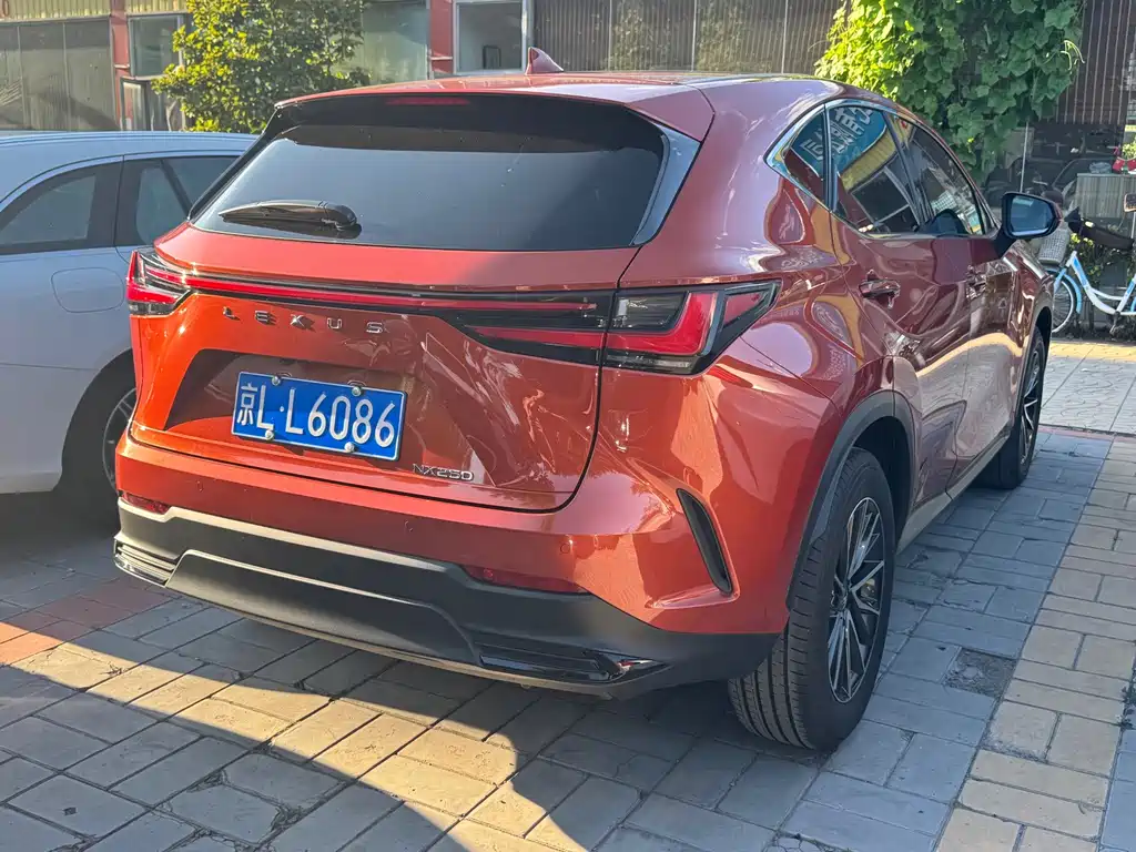 Lexus NX — миниатюра 17