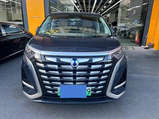 2023 Denza D9