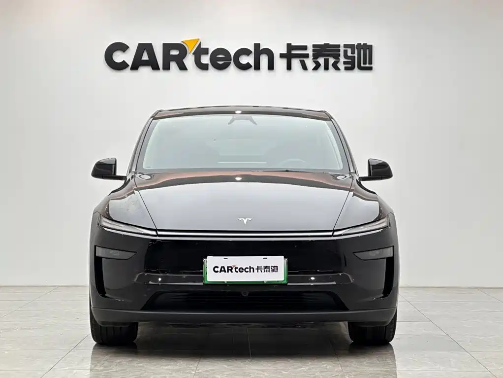 Tesla Model Y — миниатюра 7