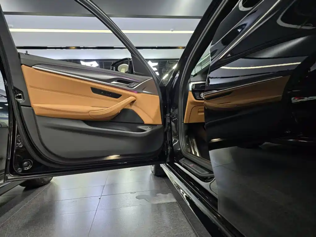 BMW 5 Series (Import) — миниатюра 5