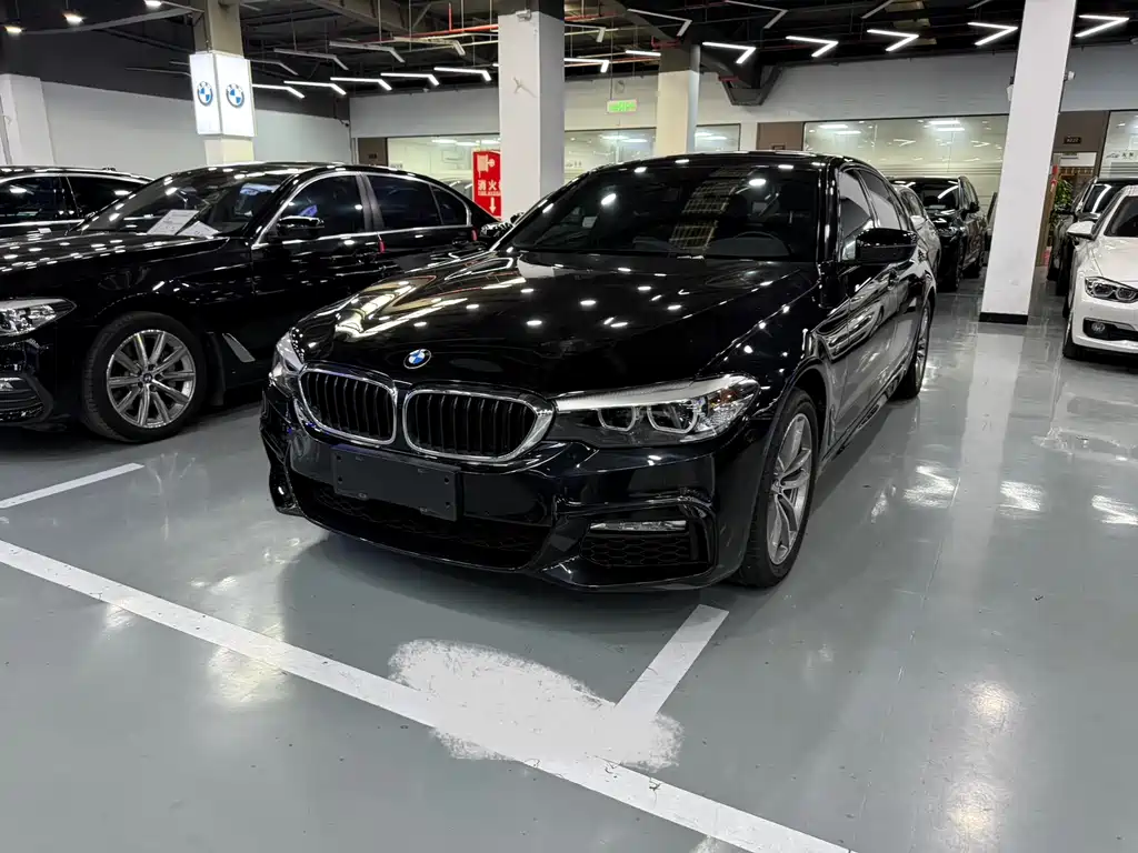 BMW 5 Series 2019
