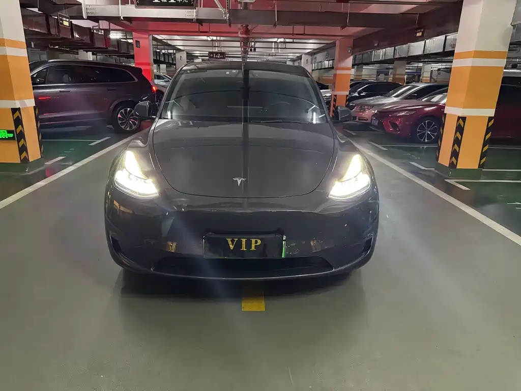 Tesla Model Y — миниатюра 2