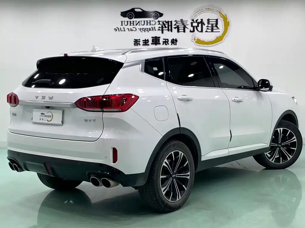 Wey Wey VV6 — миниатюра 9
