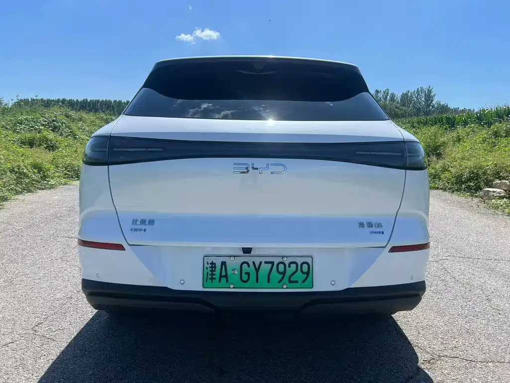 BYD Haisi 06 — миниатюра 5