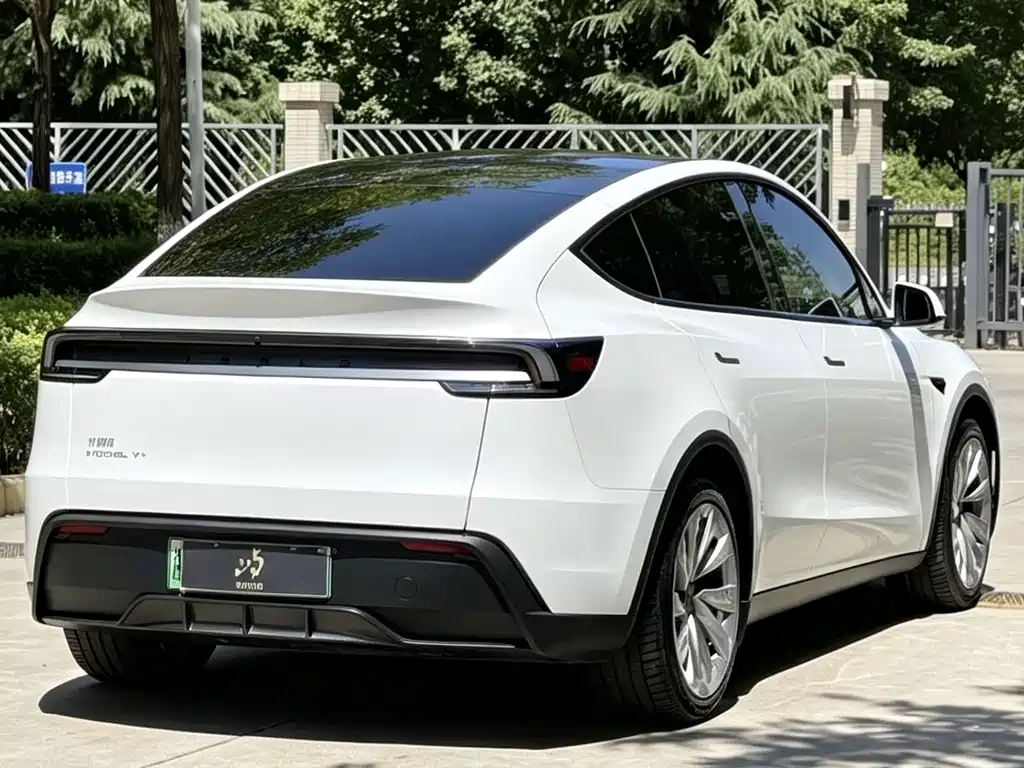 Tesla Model Y — миниатюра 6