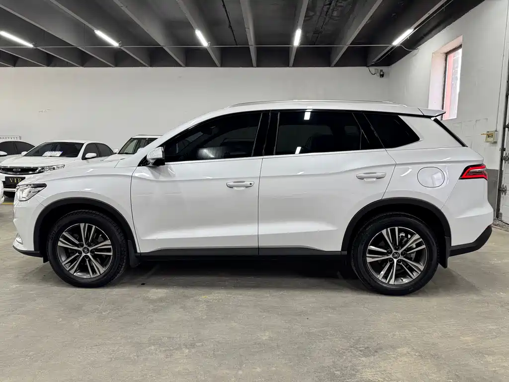 BYD Pro — миниатюра 4