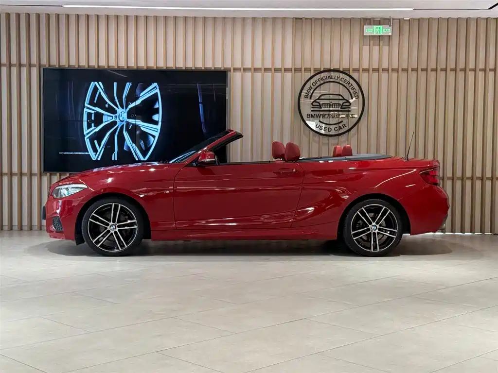 BMW 2 Series 2 2019 225i Premium M Sport