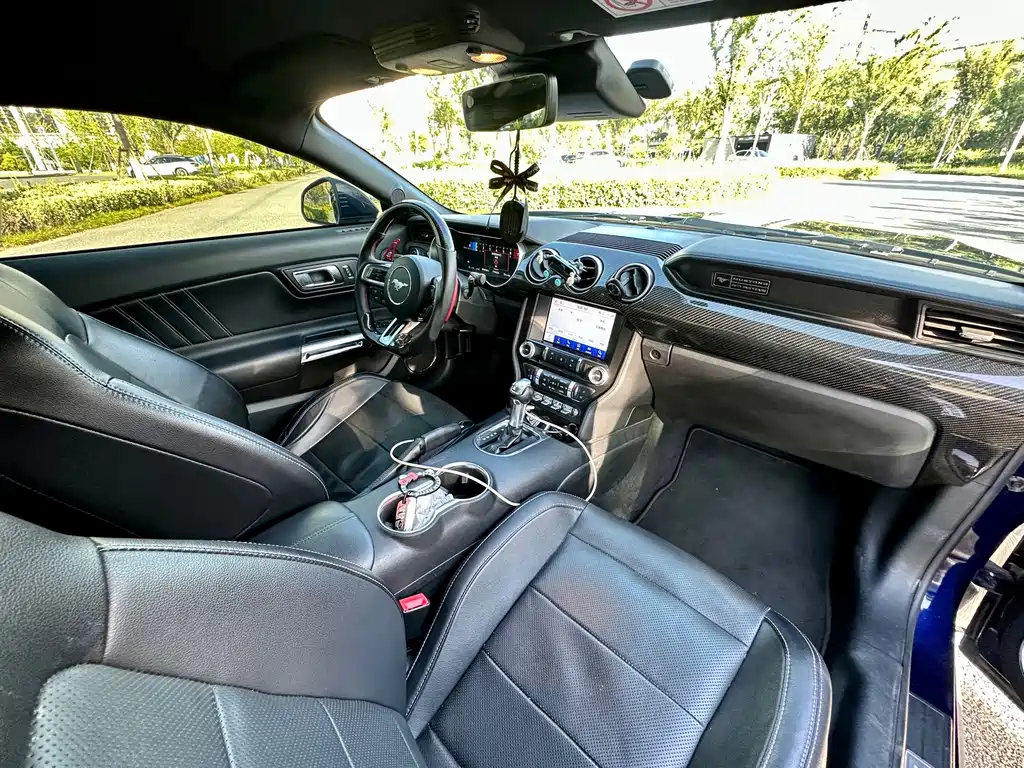 Ford Mustang — миниатюра 11