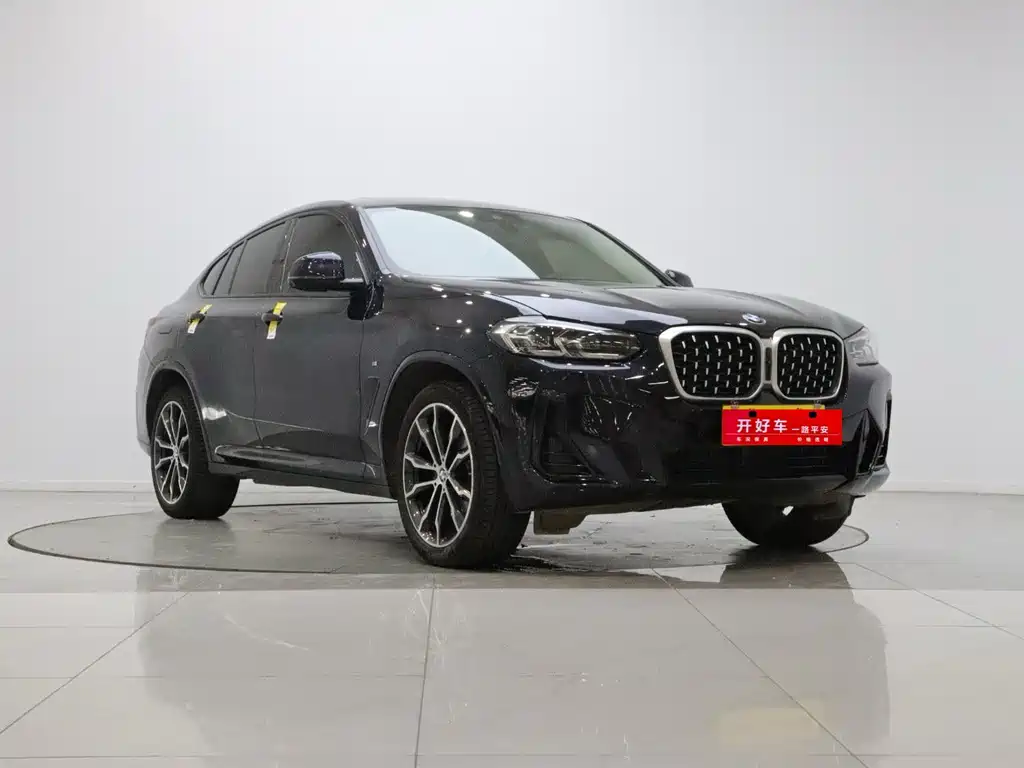 BMW X4 xDrive 30i M Sport Package, фото 3