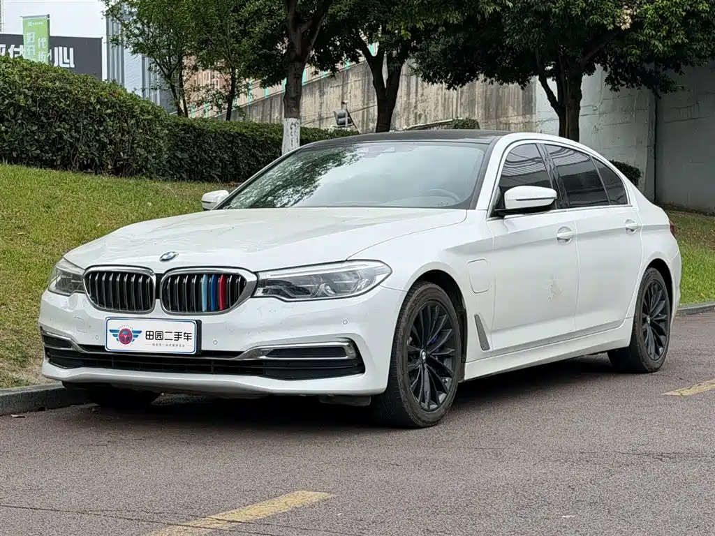 BMW 5 Series New Energy 2020