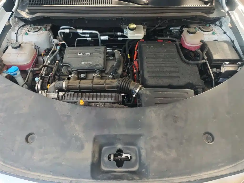 BYD Pro New Energy — миниатюра 16