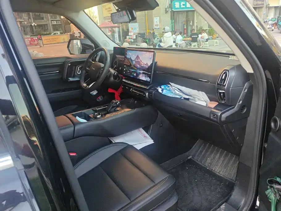 Haval Big Dog PLUS — миниатюра 8