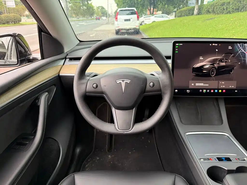 Tesla Model Y — миниатюра 14