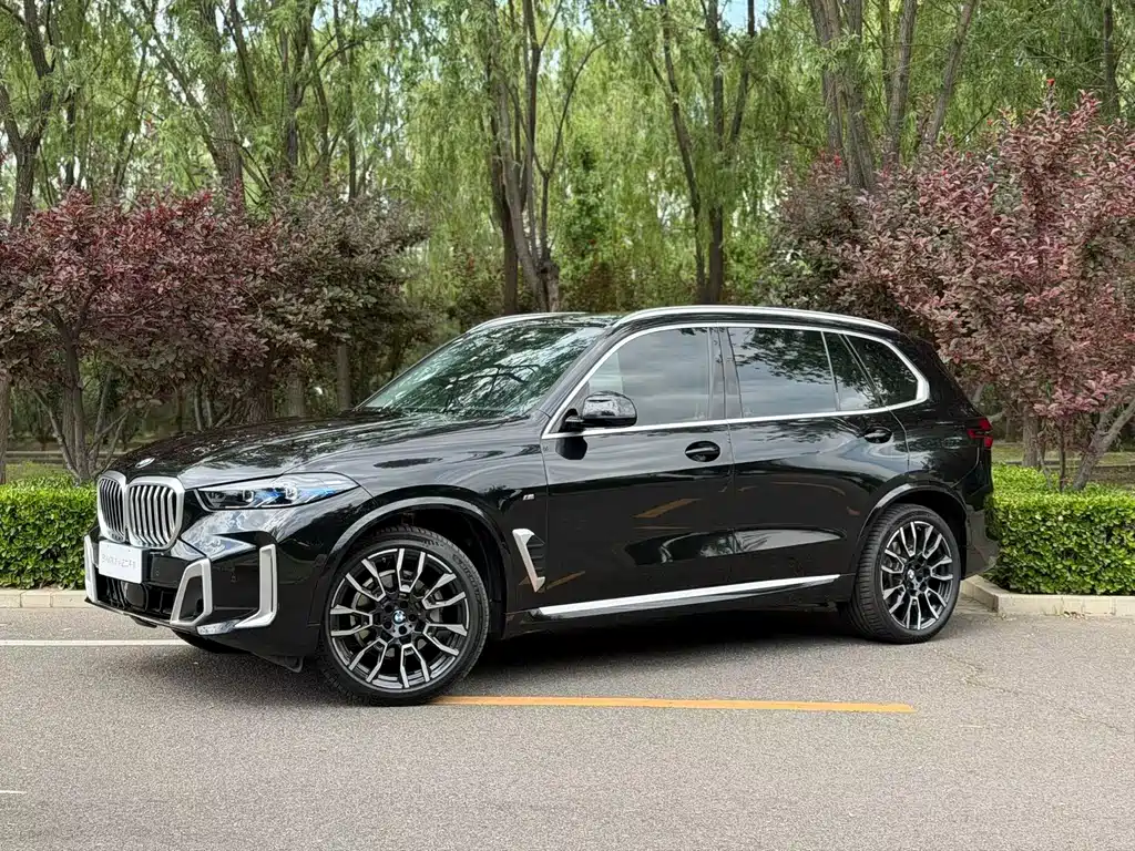 BMW X5 2023 xDrive 30Li M Sport Package