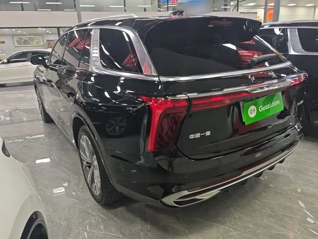 Hongqi Hongqi E-HS9 — миниатюра 5