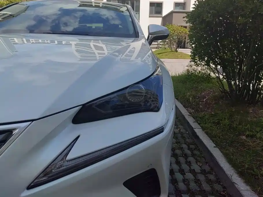 Lexus NX — миниатюра 5