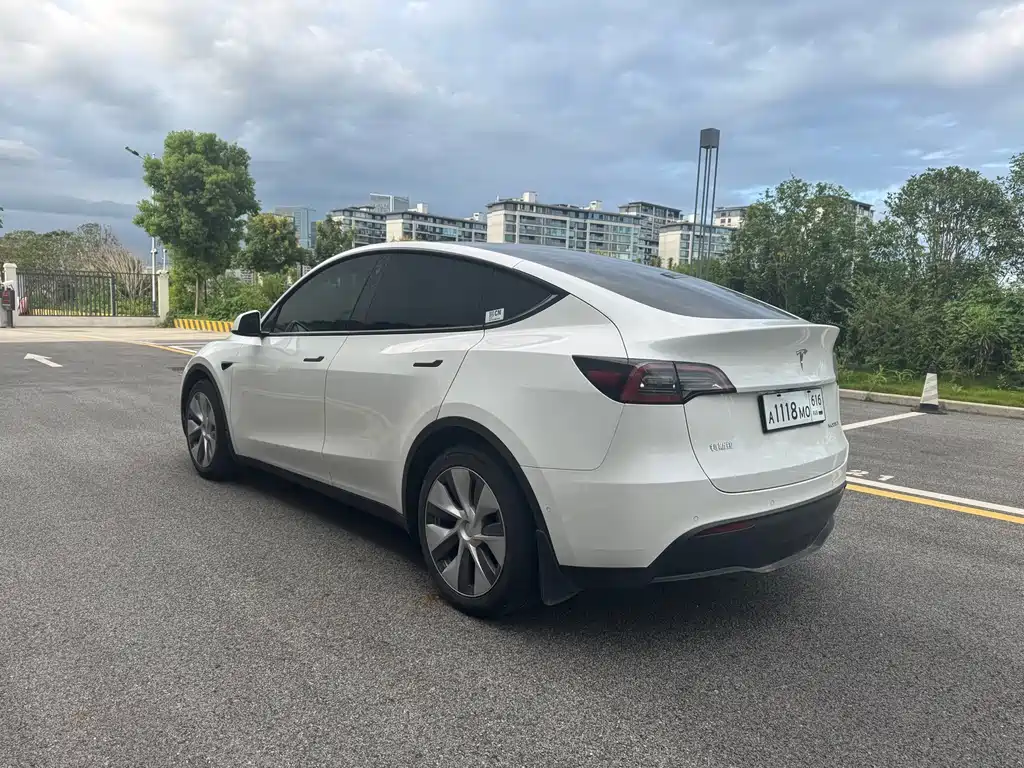 Tesla Model Y — миниатюра 4