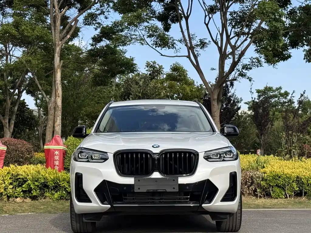 BMW X3 2023 xDrive30i Lead M