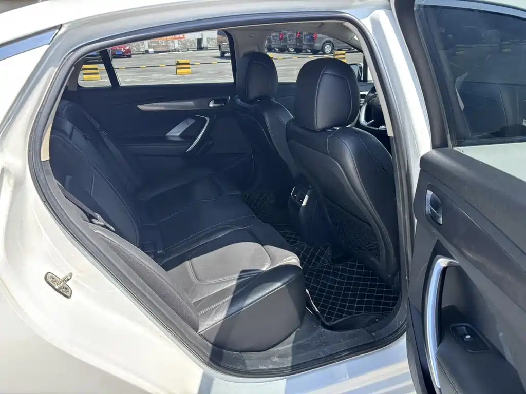 DS DS 5LS — миниатюра 14