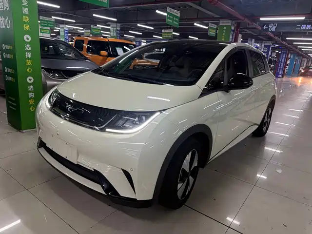 2023 BYD Dolphin