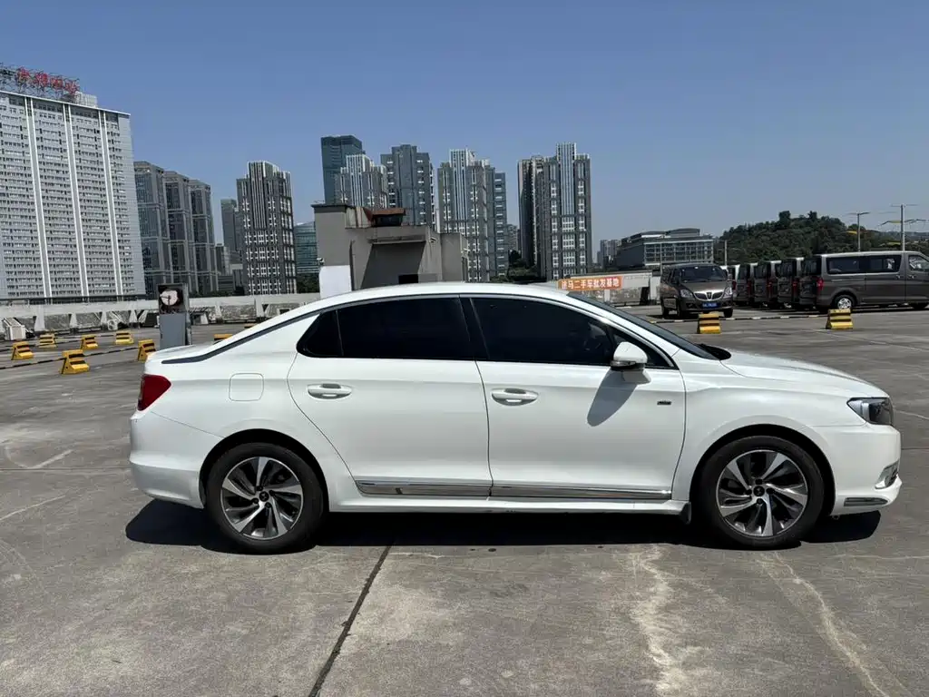 DS DS 5LS — миниатюра 5