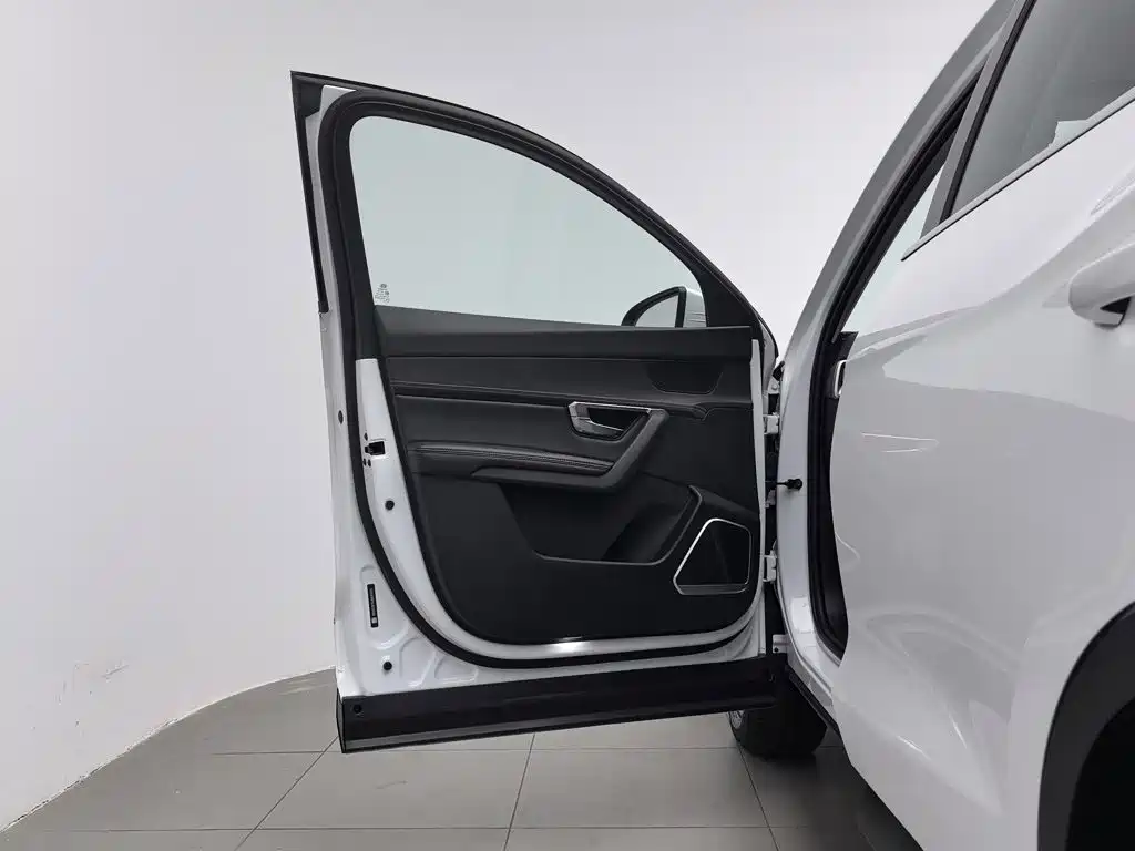 BYD Pro — миниатюра 8
