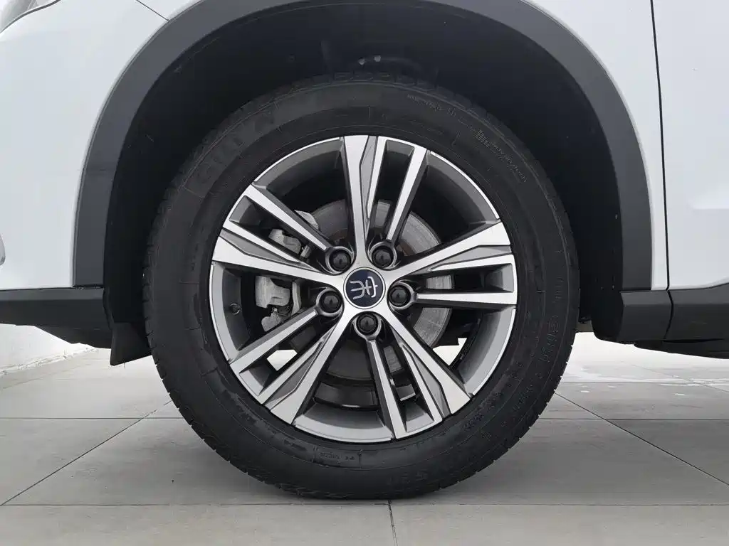 BYD Pro — миниатюра 17