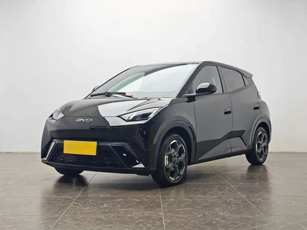 Byd Seagull 2025