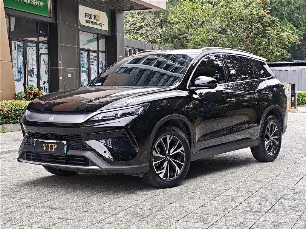 Byd Pro New Energy 2025