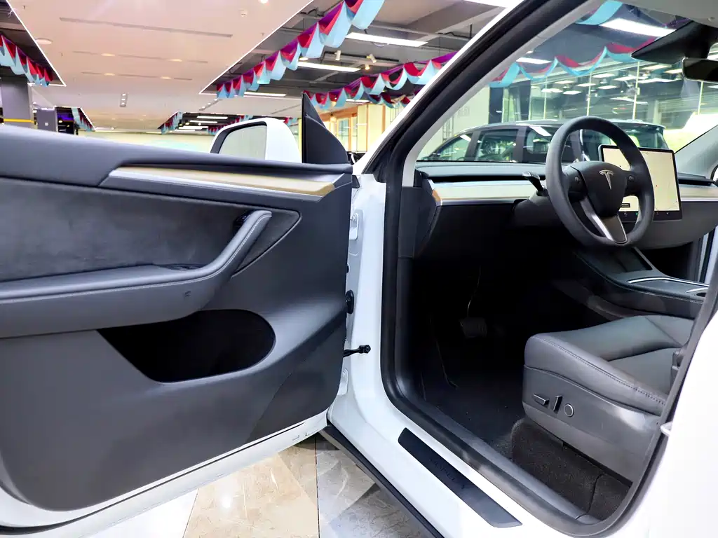 Tesla Model Y — миниатюра 7