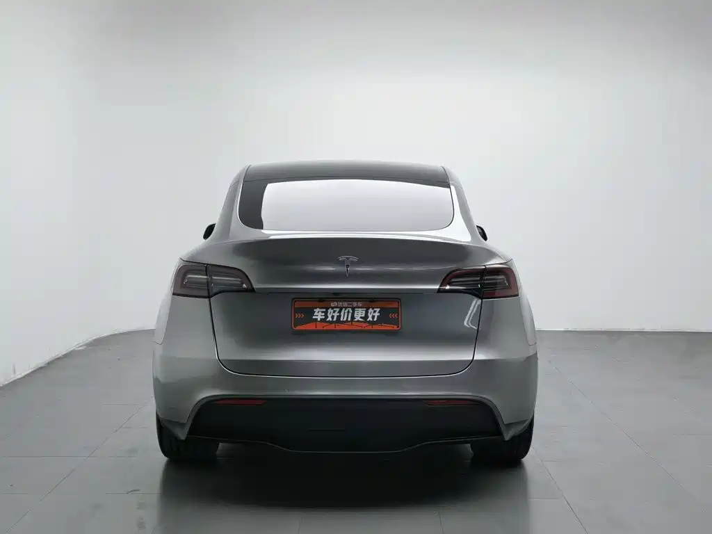 Tesla Model Y — миниатюра 4