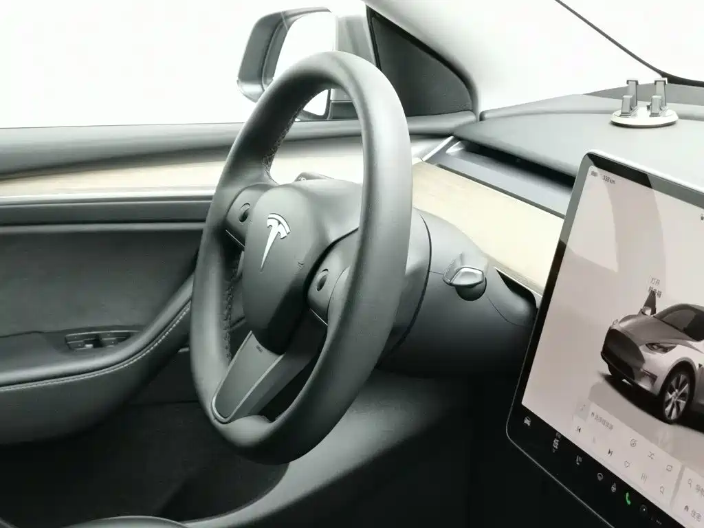 Tesla Model Y — миниатюра 22