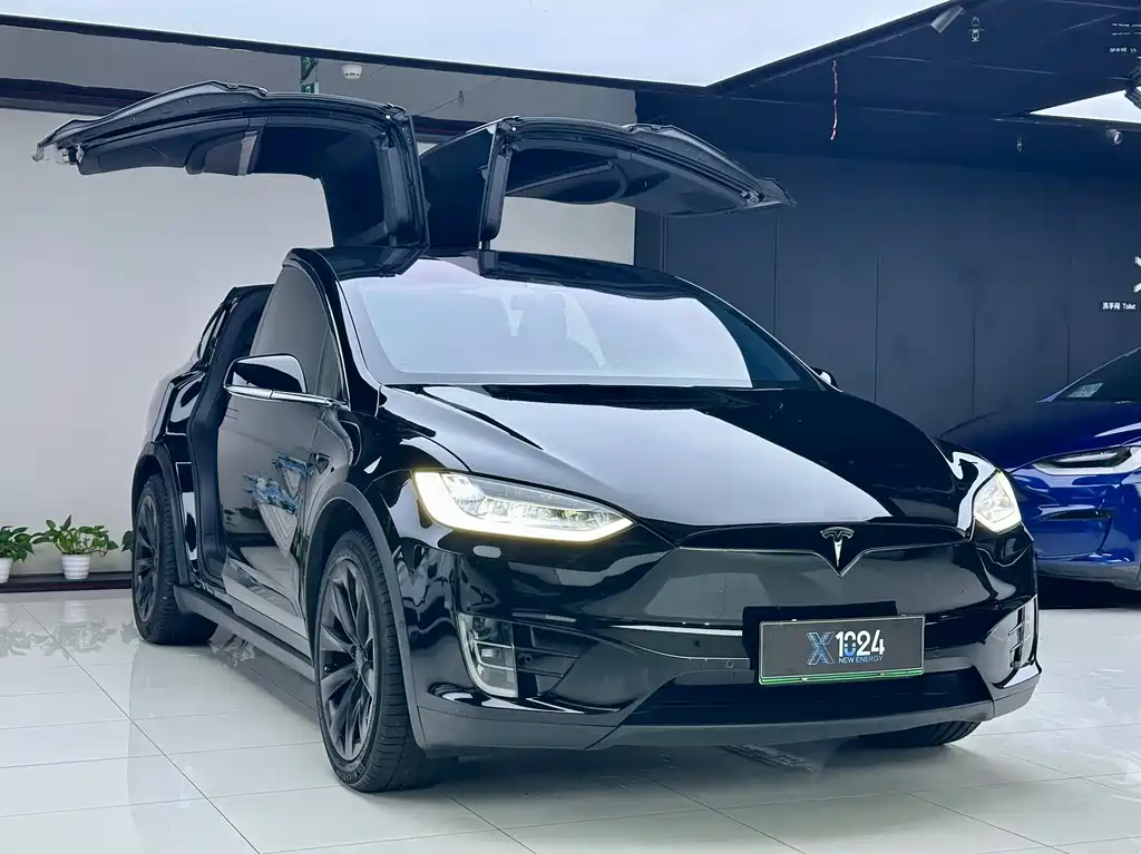 Tesla Model X — миниатюра 3