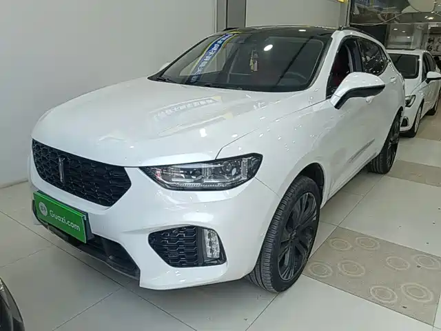 2018 Wey VV5