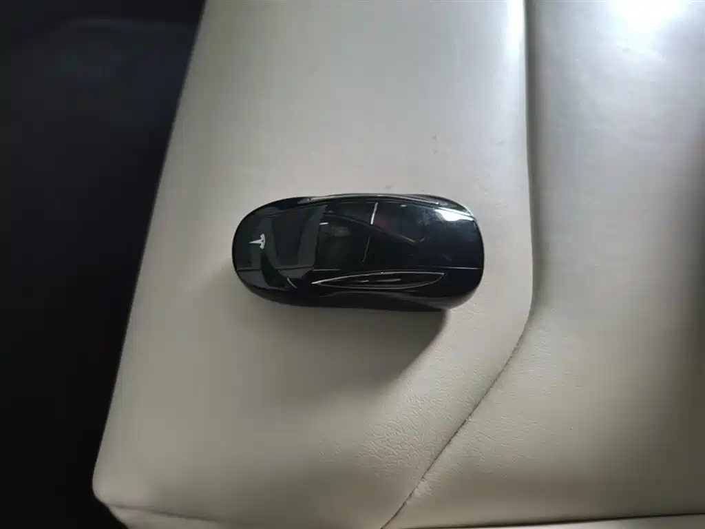 Tesla Model X 2017 Model X 100D