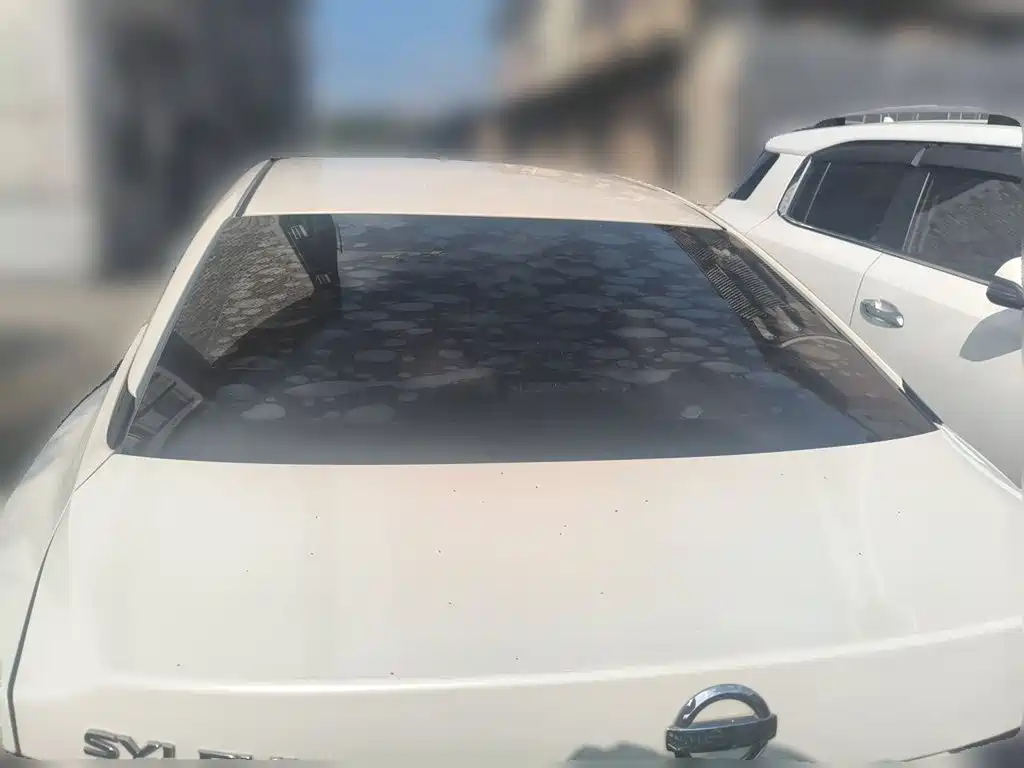 Nissan Sylphy — миниатюра 5
