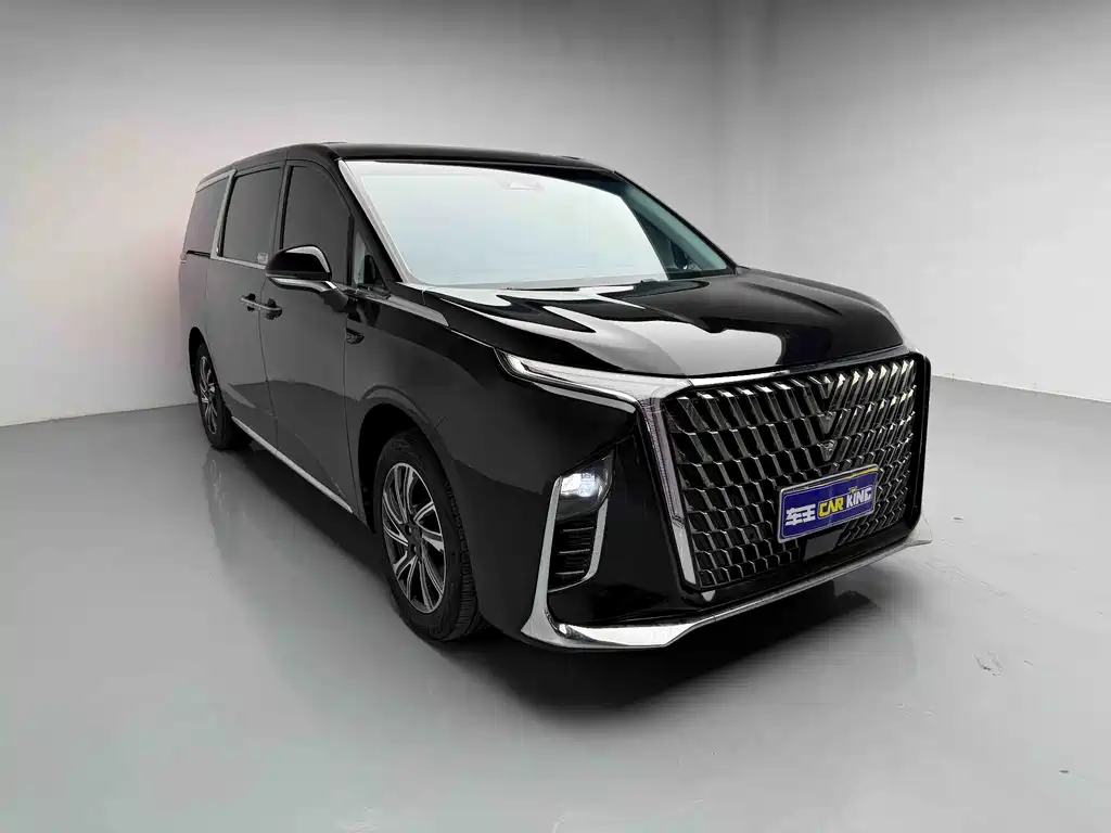 Maxus G90 2022 2.0T мест
