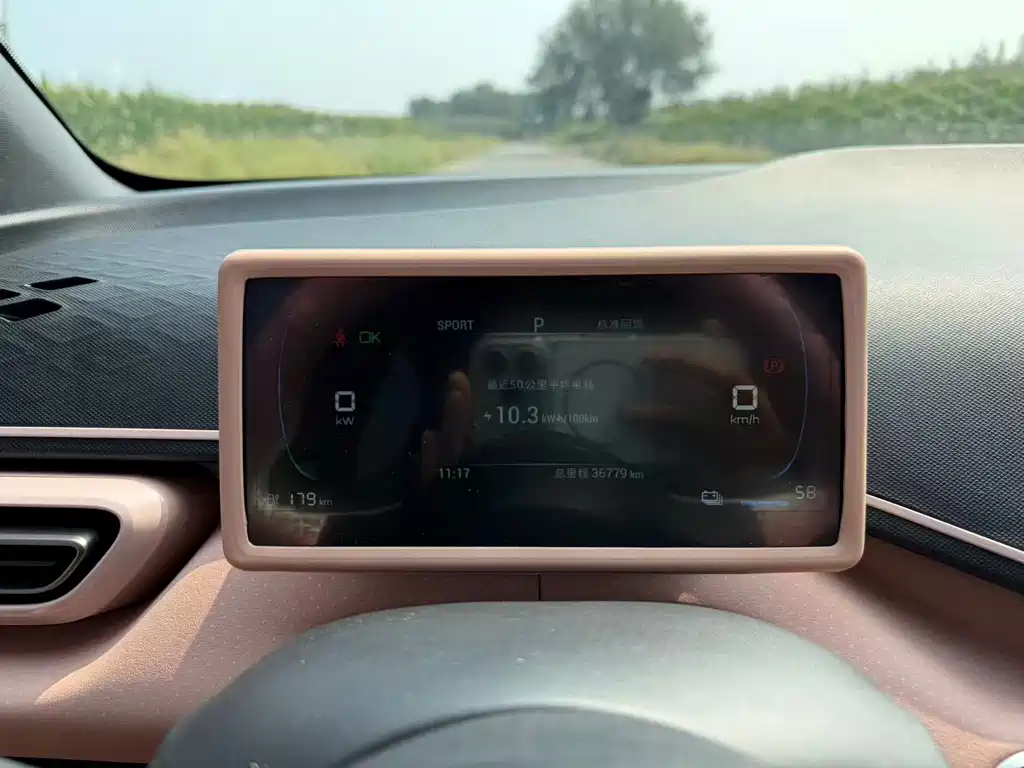 BYD Seagull — миниатюра 9
