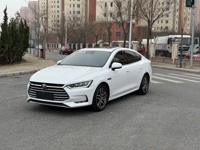 BYD QINHUANGDAO NEW ENERGY 2019