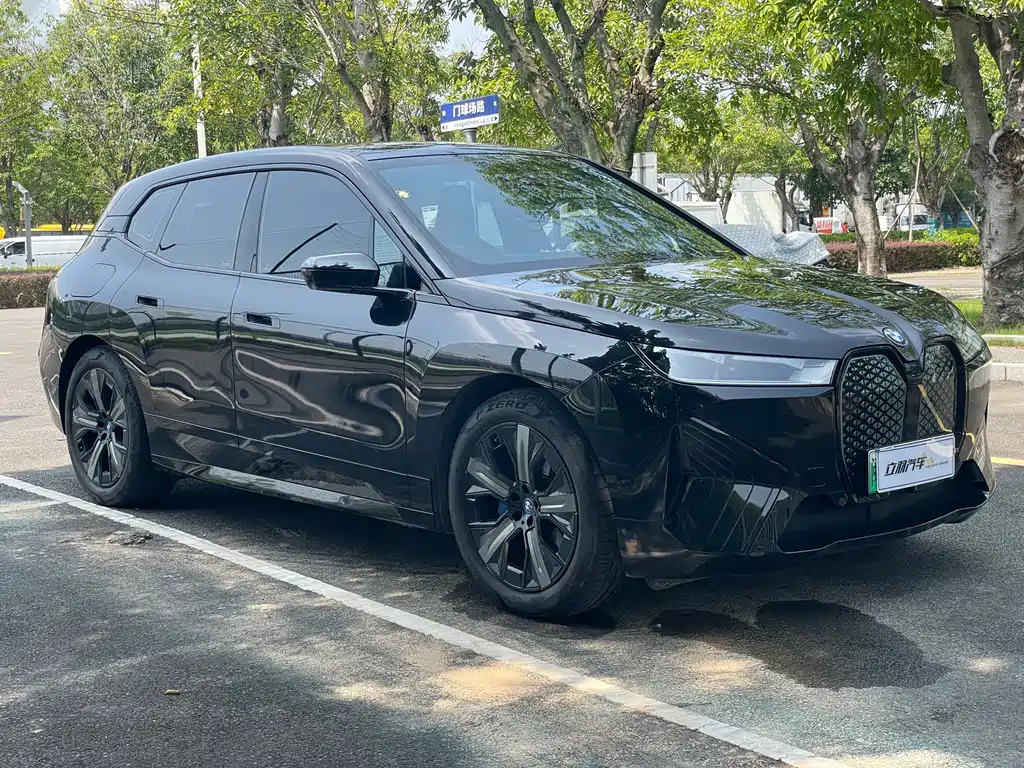 BMW iX — миниатюра 3